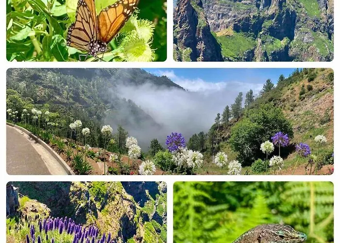 Isabela - Car For Free Apartman Caniço