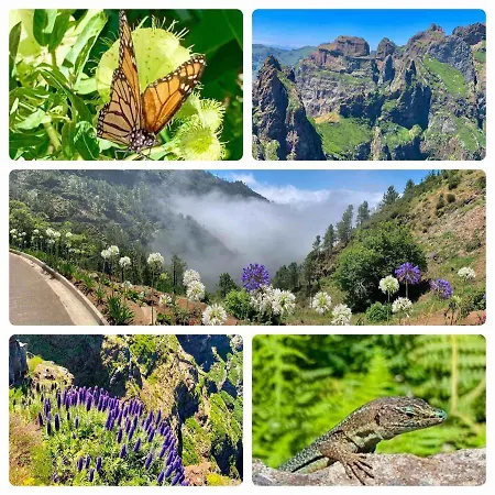 Isabela - Car For Free アパート カニコ