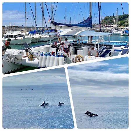 Isabela - Car For Free カニコ