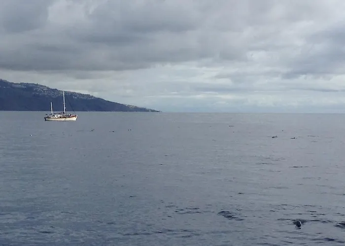 Isabela - Car For Free * كانيكو