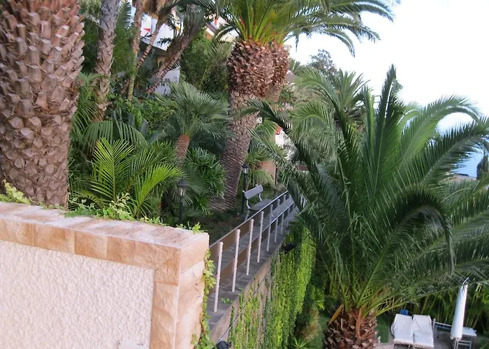 Isabela - Car For Free كانيكو